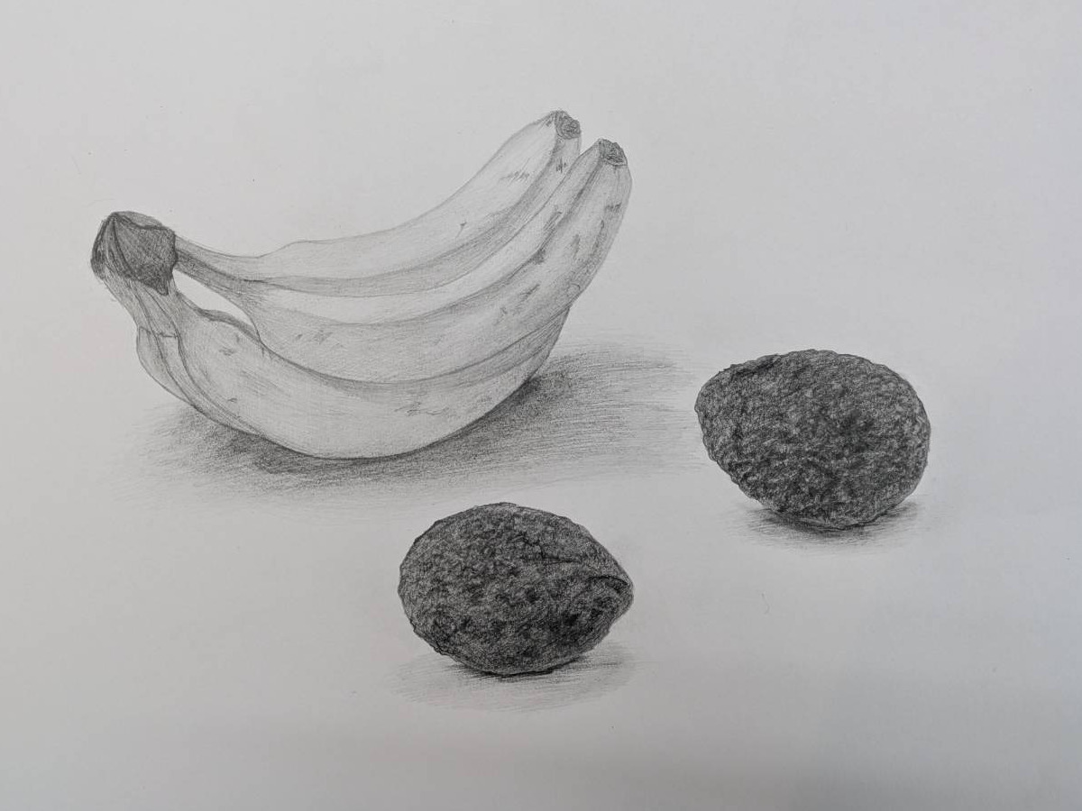 香蕉与水果(静物写生)