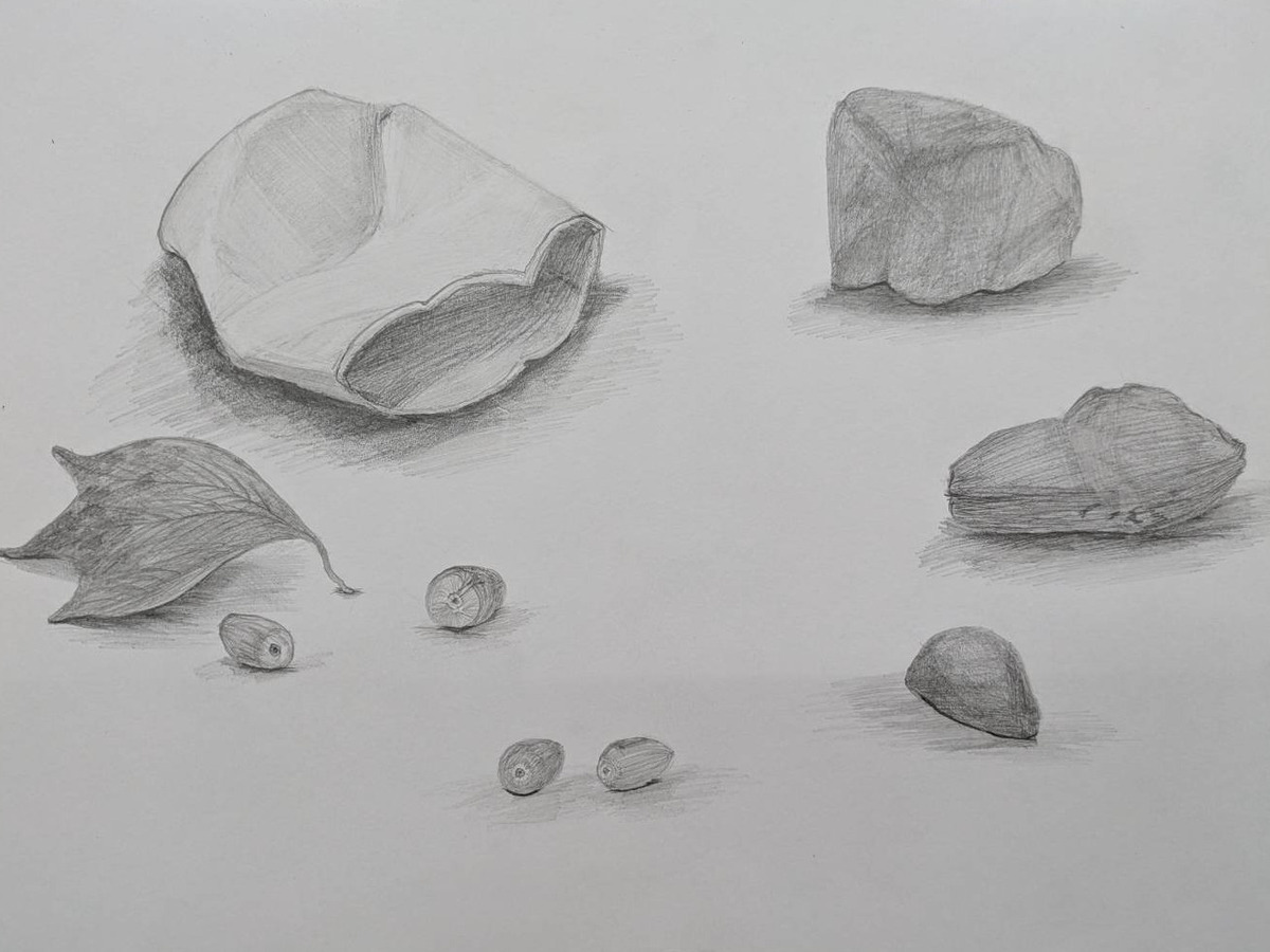 纸张・叶片・果实(组合练习)